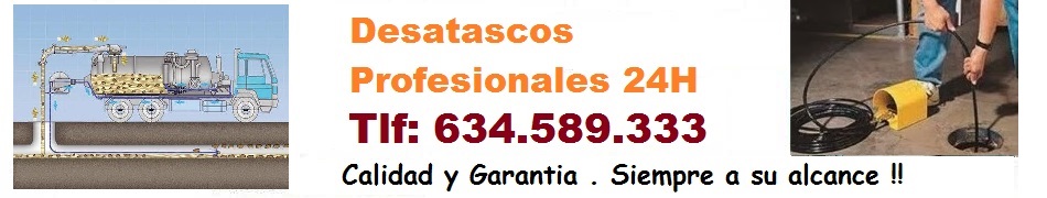 Desatascos Perales del Rio